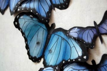 Blue_Butterflies_5028459f27cbe.jpg